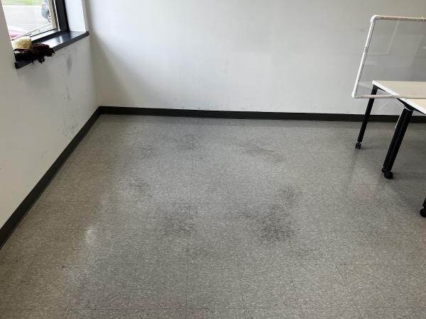 Lake Michigan Cleaning Service