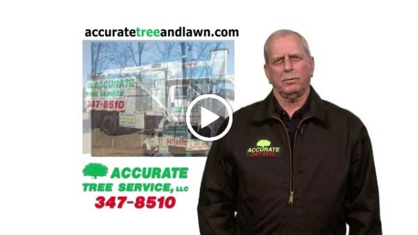 Accurate Tree Services