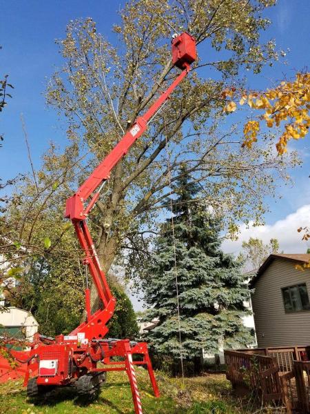Accurate Tree Services