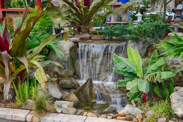 Living Waters Pond & Garden