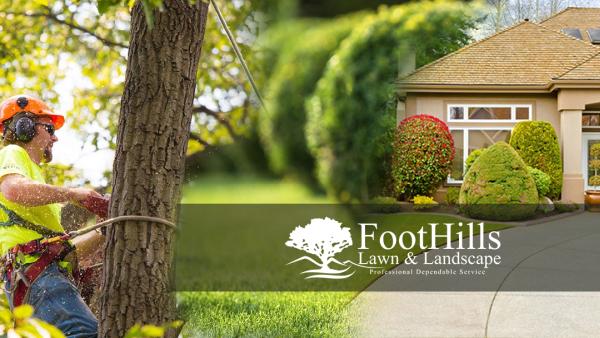 Foothills Lawn and Landscape