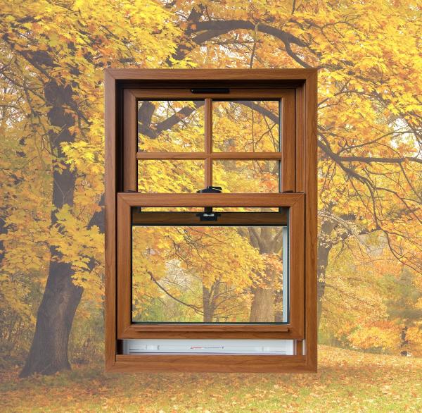 Window Works