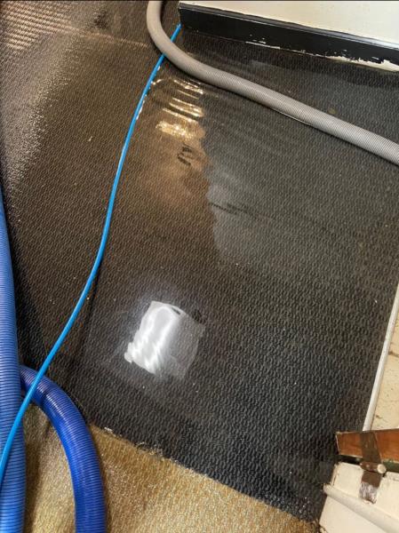 Gold Star Cleaning Services LLC