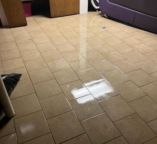Gold Star Cleaning Services LLC