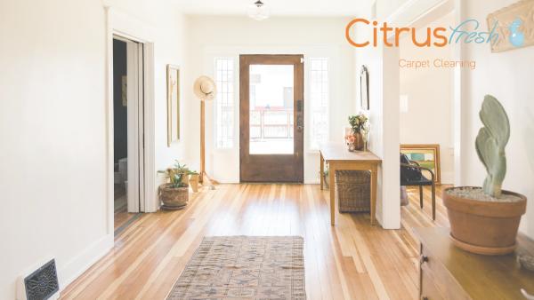 Citrus Fresh Carpet Cleaning