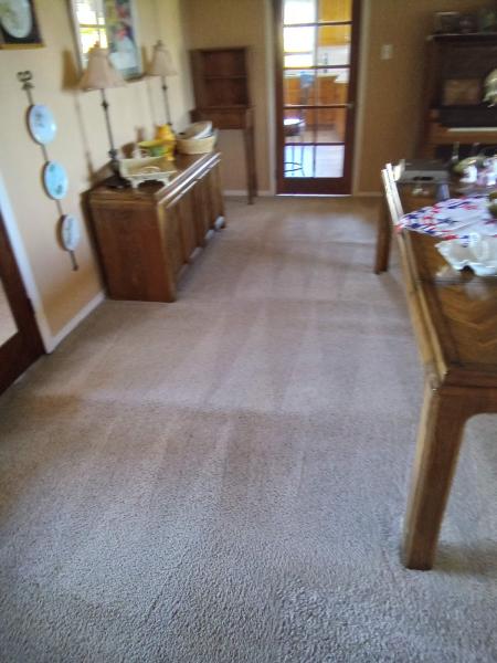 Qwik Dry Carpet Cleaning