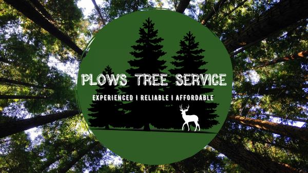 Plows Tree Service