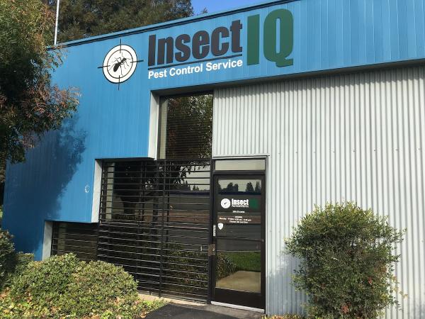 Insect IQ