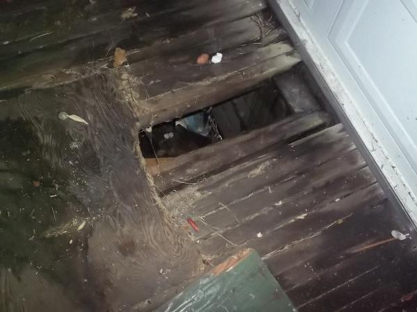 South Puget Sound Home Inspections