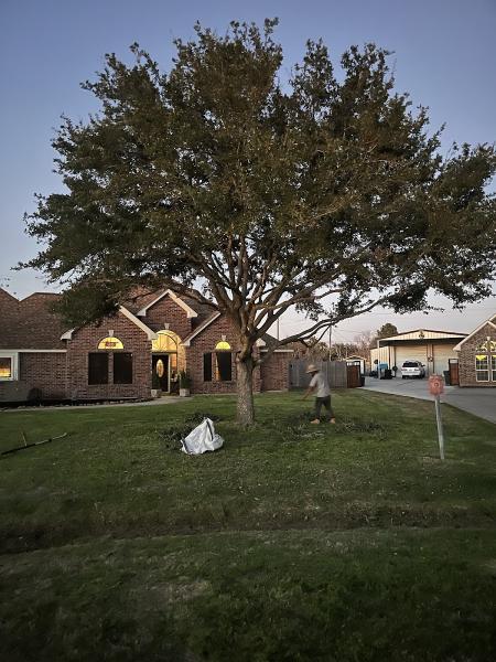 Ramos Tree Service