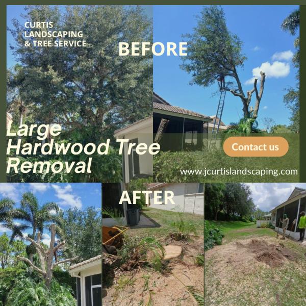 Curtis Landscaping & Tree Service