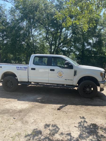 Taylor Tree Co.
