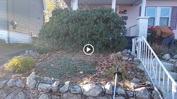 Desperate Landscapes and Lawn Care