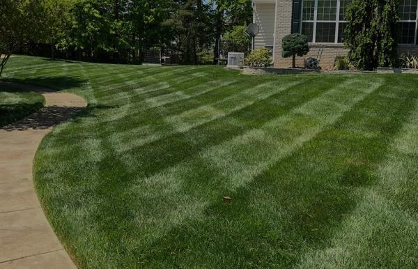 Allstar Lawn Services
