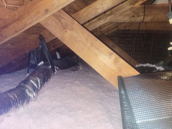 RM Laplace Insulation