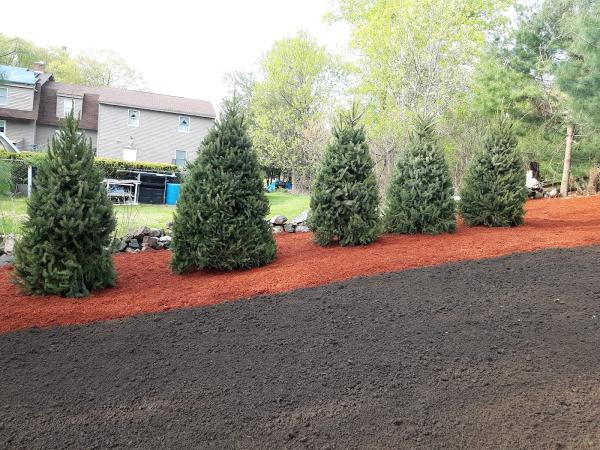 Tony's Landscaping MA