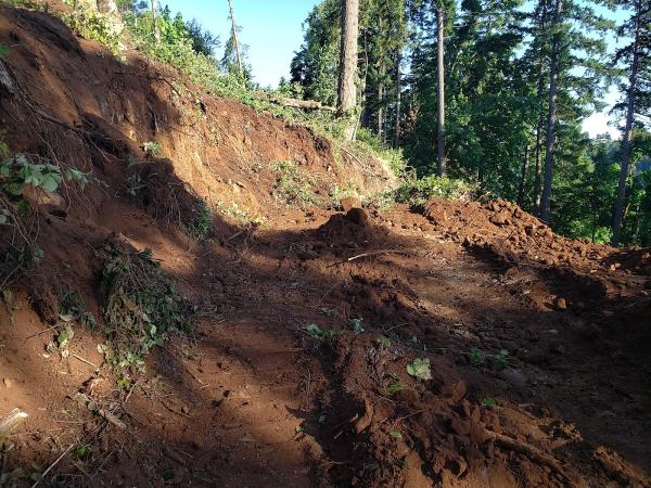 Tsera Construction LLC