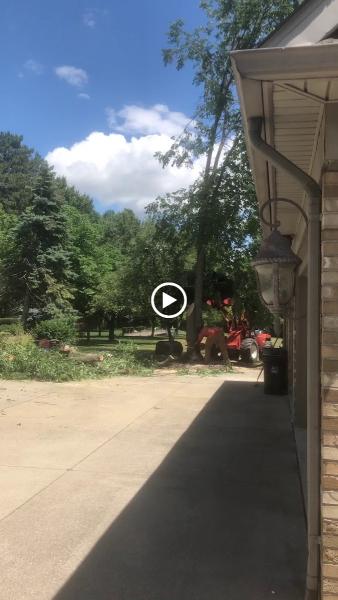 Amezola Tree Service