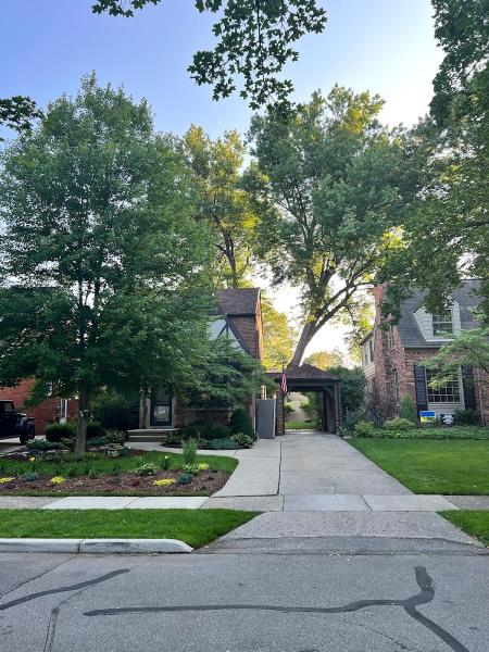 Amezola Tree Service