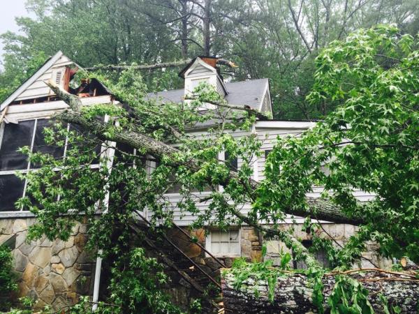 SCS Tree Service