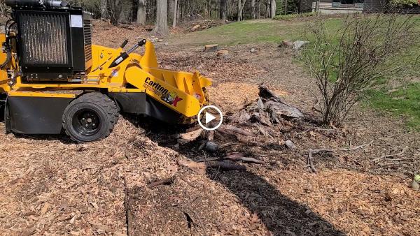 Khoury Stump Grinding