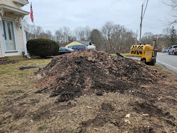 Khoury Stump Grinding