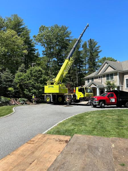 Royer Tree Service
