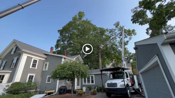 Royer Tree Service