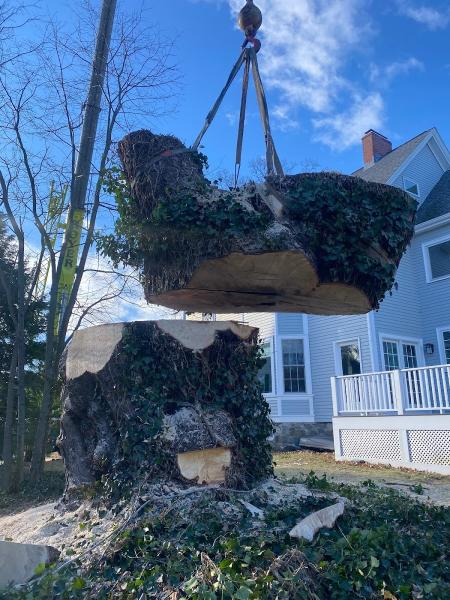 Royer Tree Service