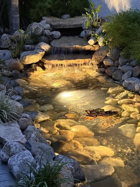 Jaguar Garden Designs