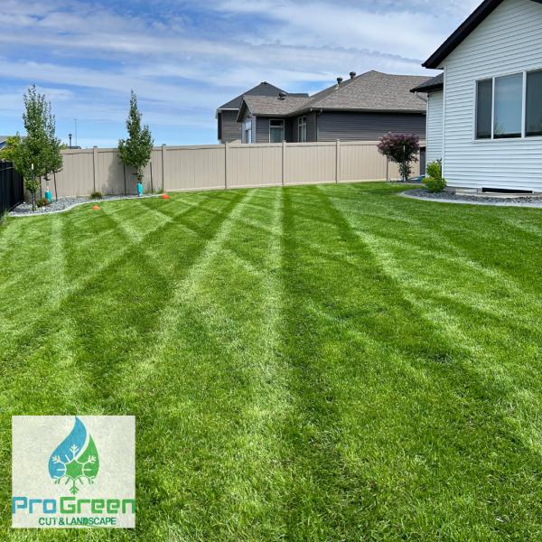 Progreen Cut & Landscape