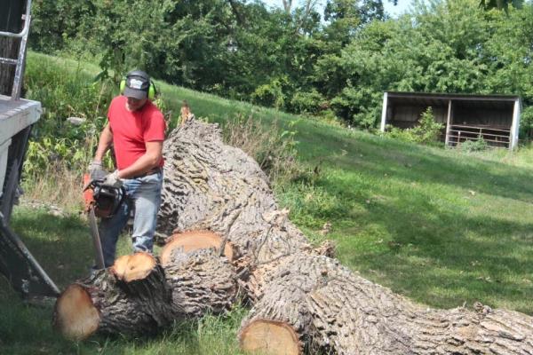 Curt's Tree Services