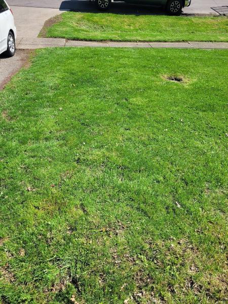 Gemini Junior Lawn & Yard