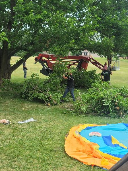 Evans Tree Care