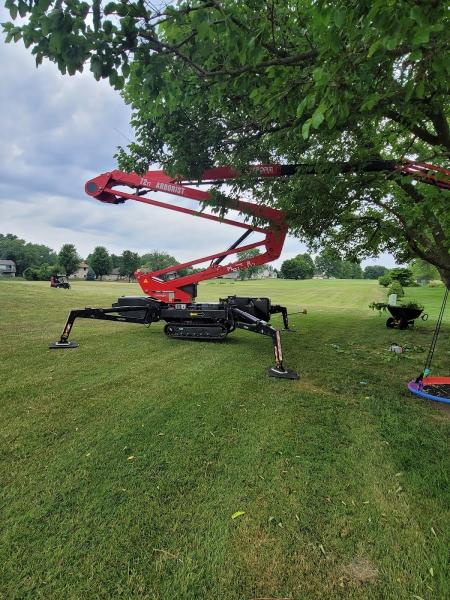 Evans Tree Care