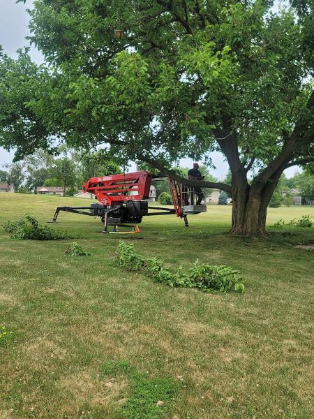 Evans Tree Care