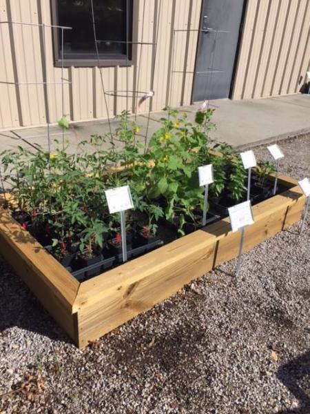 Plant Tech