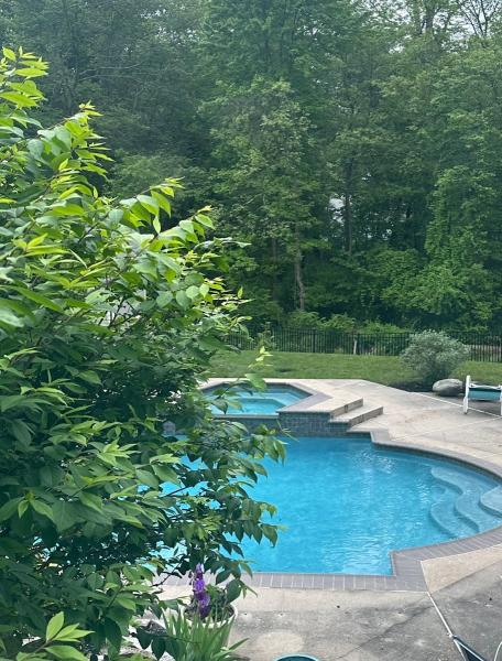 Vivid Waters Pool Service