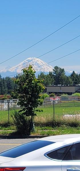 Newberry Realty Renton