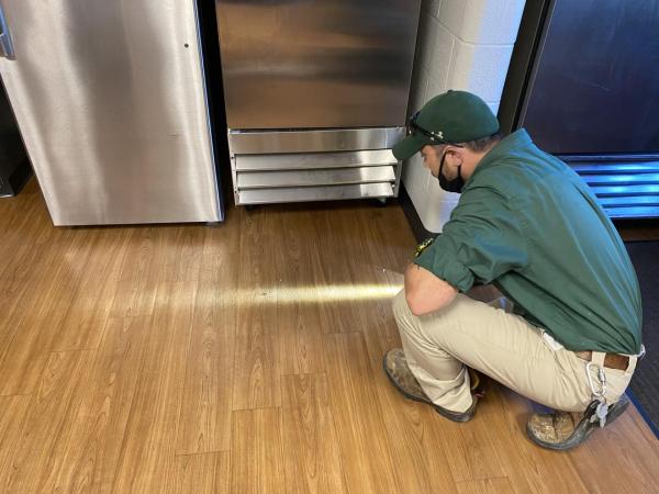 Brody Brothers Pest Control in Owings Mills