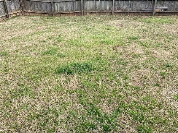 Quality Landscaping LLC