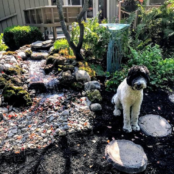 Frisbees Landscaping
