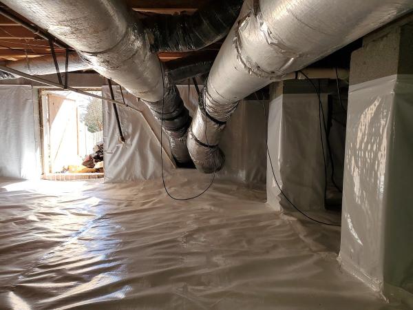 Crawlspace Buddies
