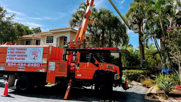 Lumberjack Jake's South Florida Tree Service
