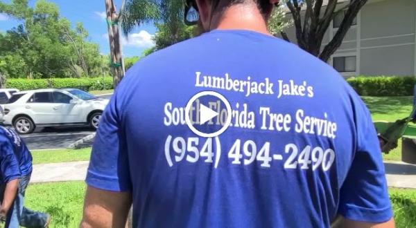 Lumberjack Jake's South Florida Tree Service
