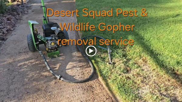Desert Squad Pest & Wildlife