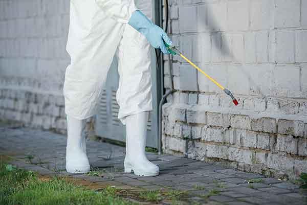 Unified Pest Control