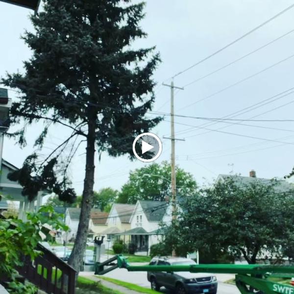 Swift Tree Service