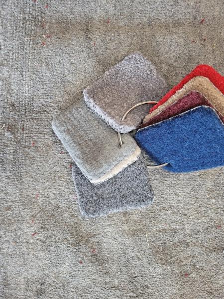 Master Rug Cleaners
