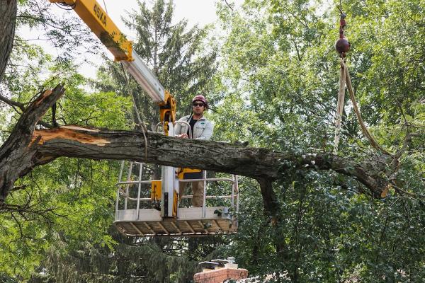 Midwest Emergency Tree Service